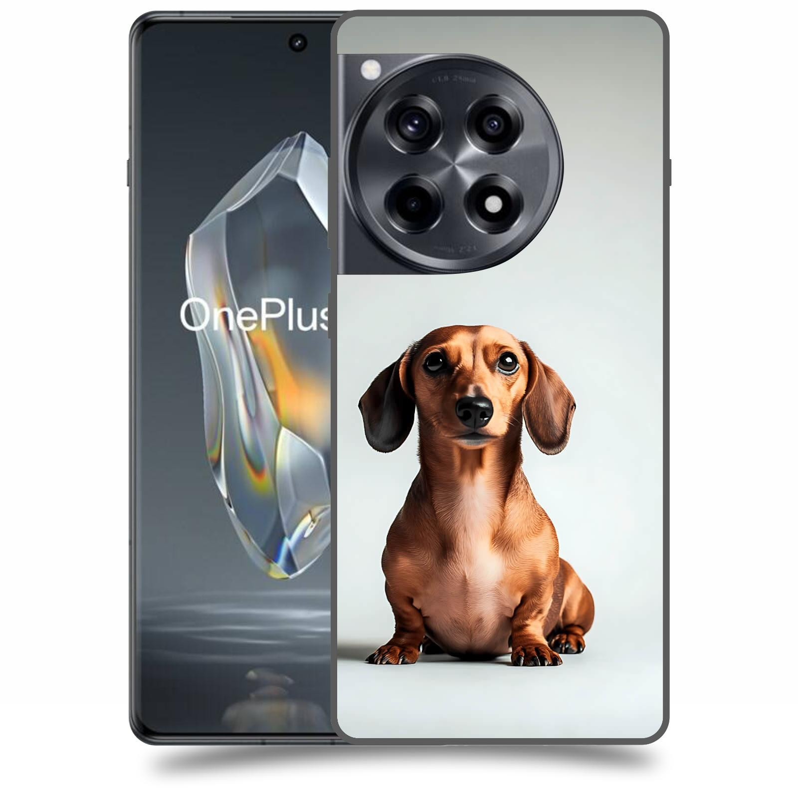 ACOVER Kryt na mobil OnePlus 12 - Dachshund III