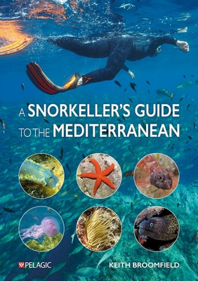 A Snorkellers Guide to the Mediterranean: A Photographic Id Guide to the Most Commonly Encountered Marine Species -  (Broomfield Keith)(Paperback)
