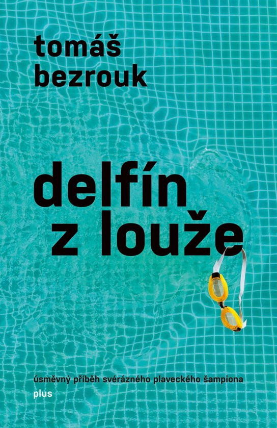 Delfín z louže
