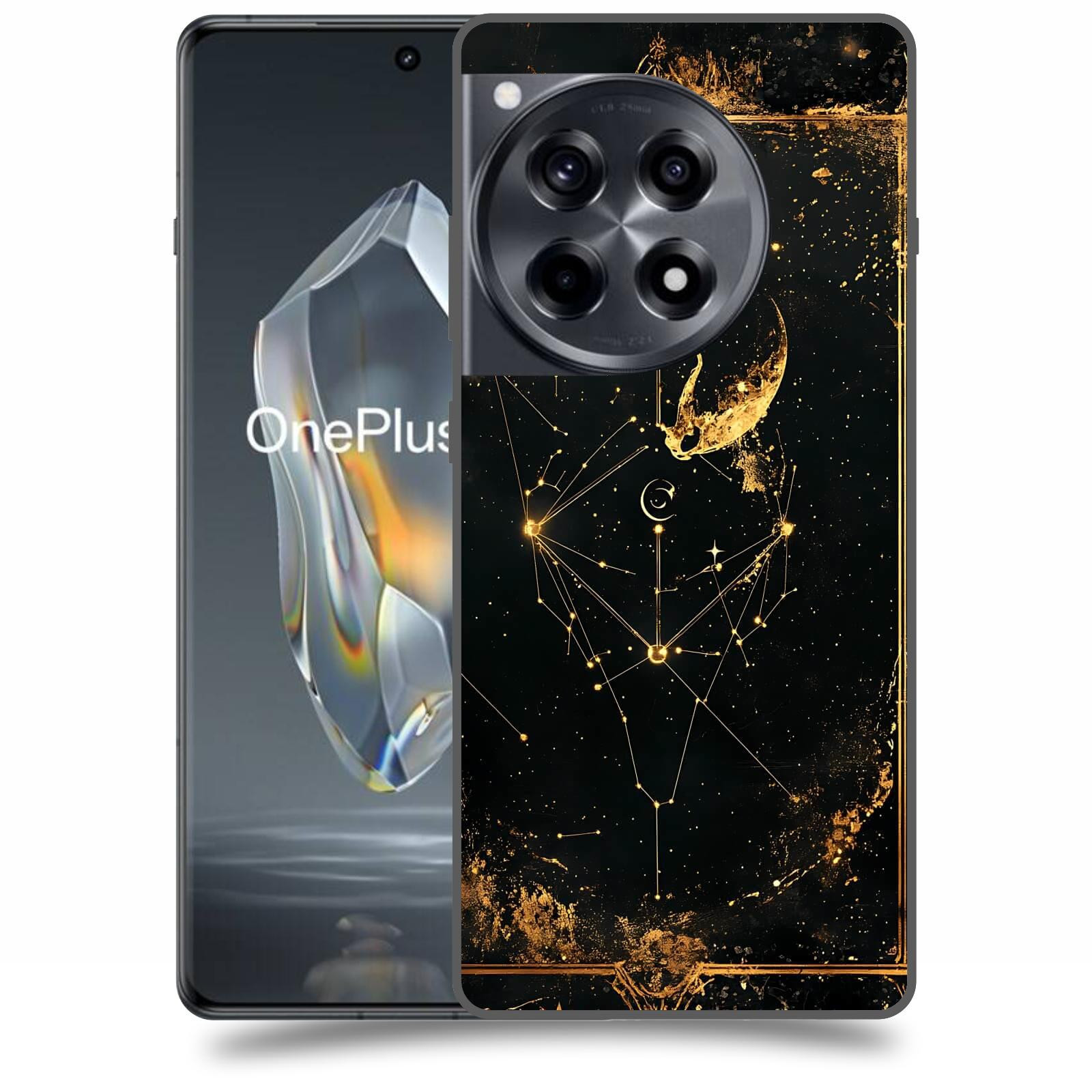 ACOVER Kryt na mobil OnePlus 12 - Blíženci