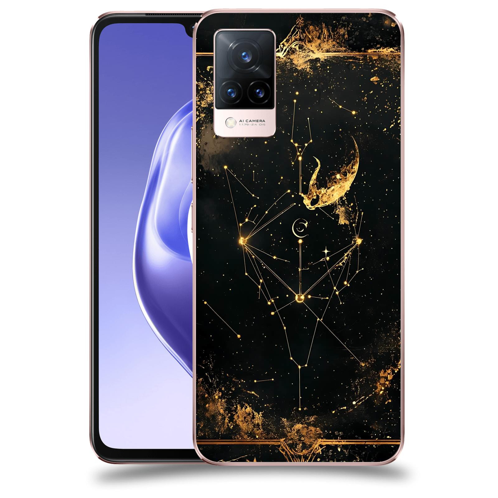 ACOVER Kryt na mobil Vivo V21 5G - Blíženci