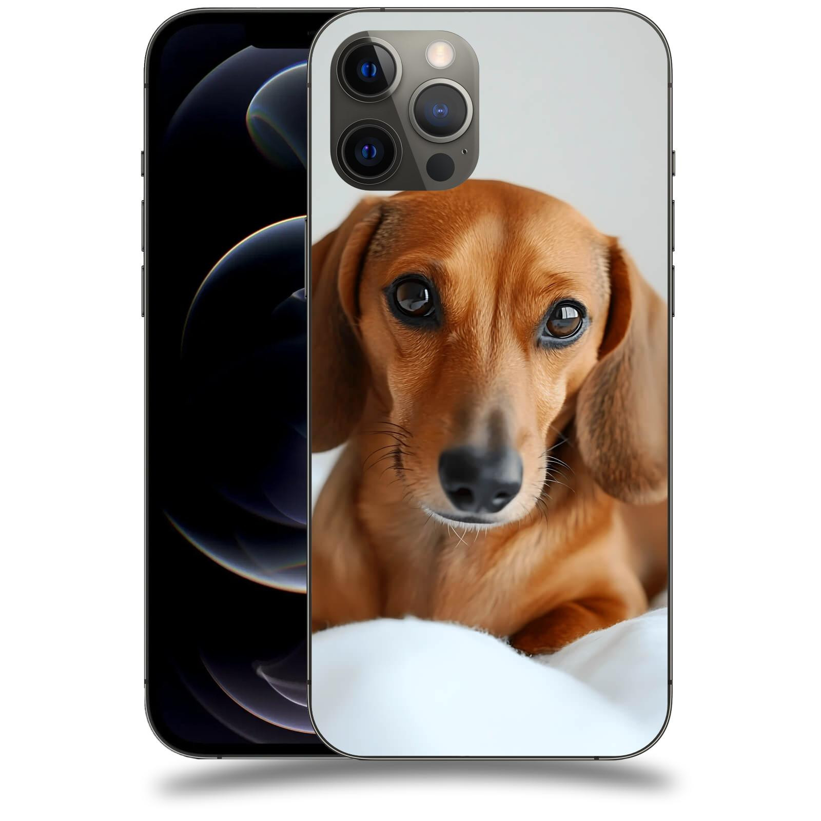 ACOVER Kryt na mobil Apple iPhone 12 Pro Max - Dachshund II