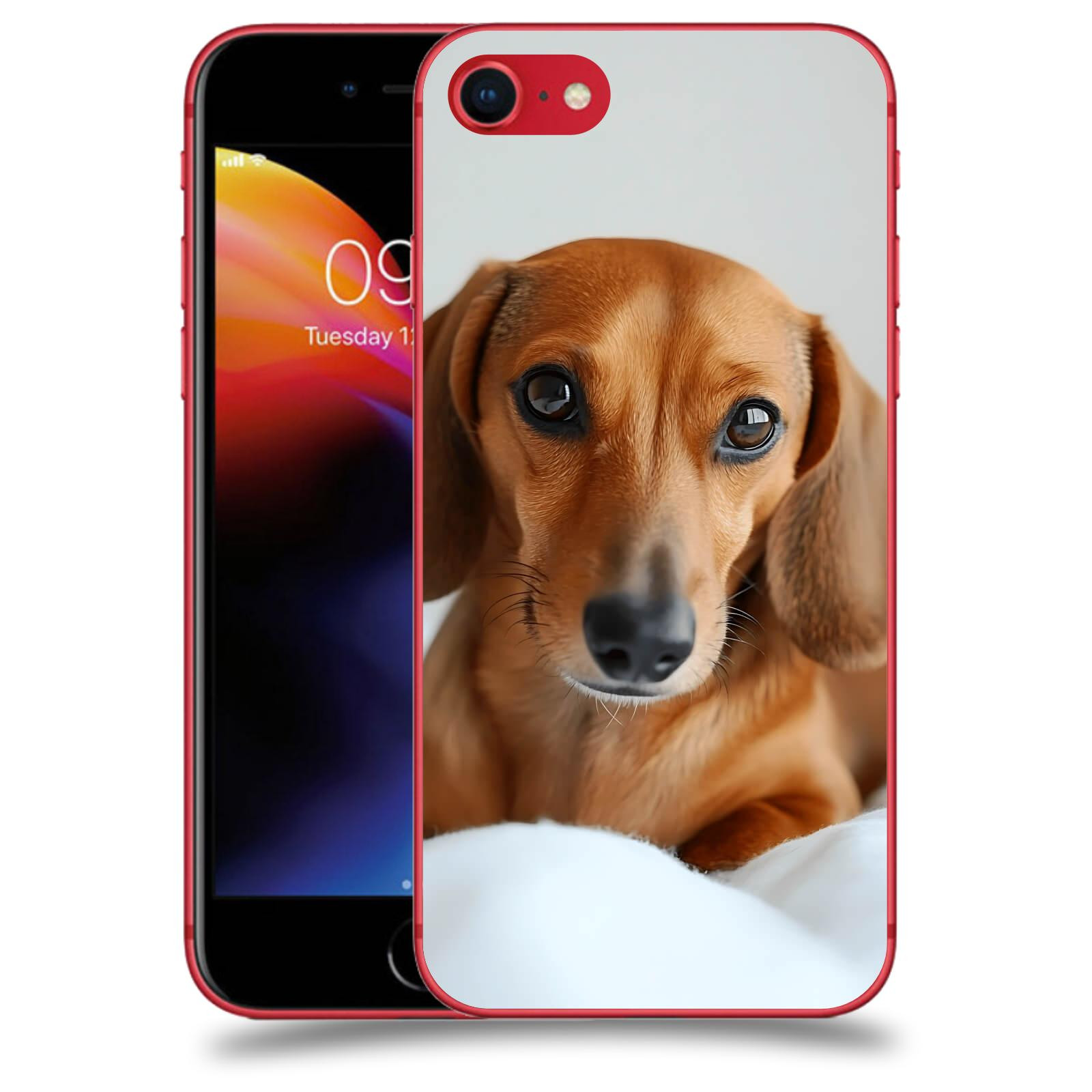 ACOVER Kryt na mobil Apple iPhone 8 - Dachshund II