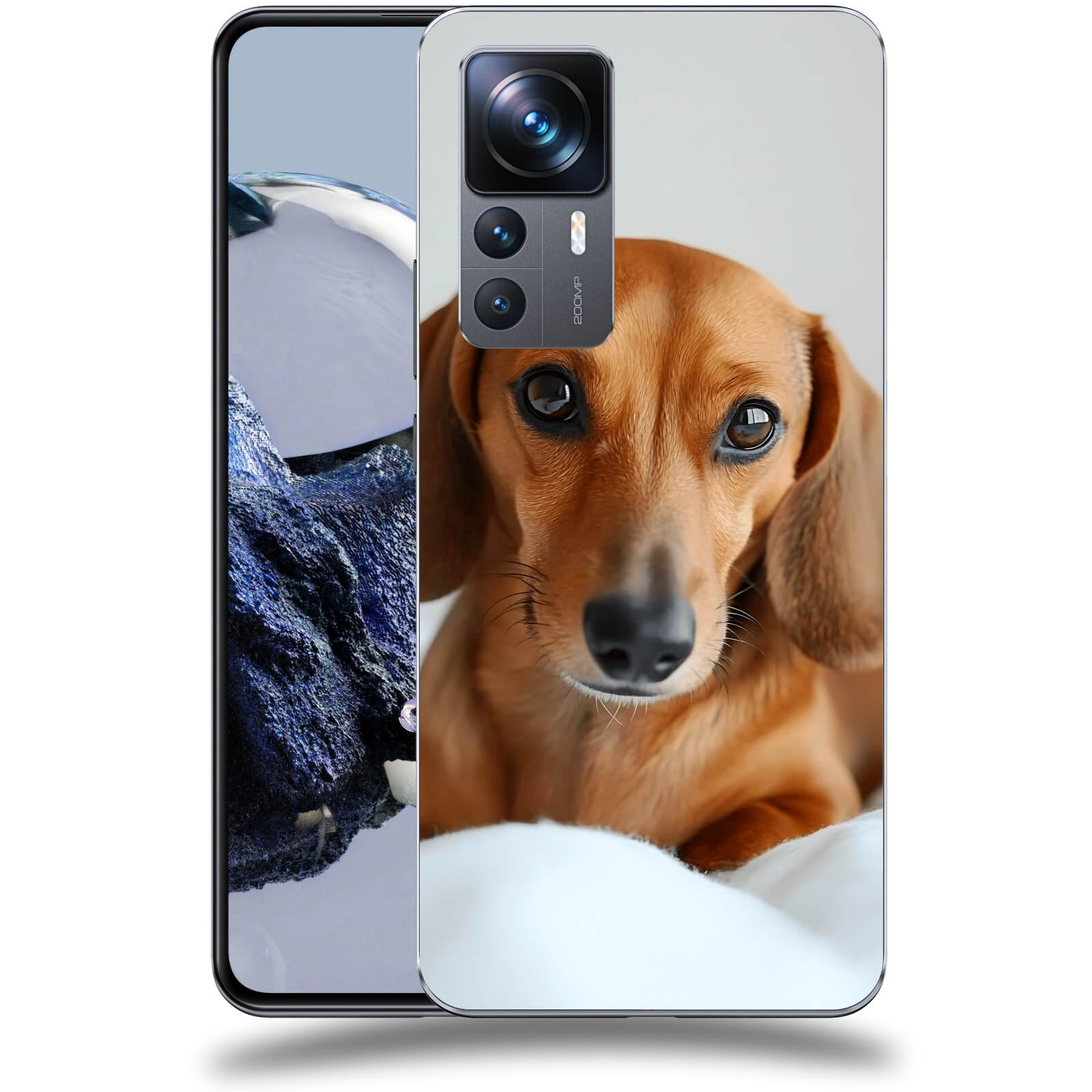 ACOVER Kryt na mobil Xiaomi 12T Pro - Dachshund II