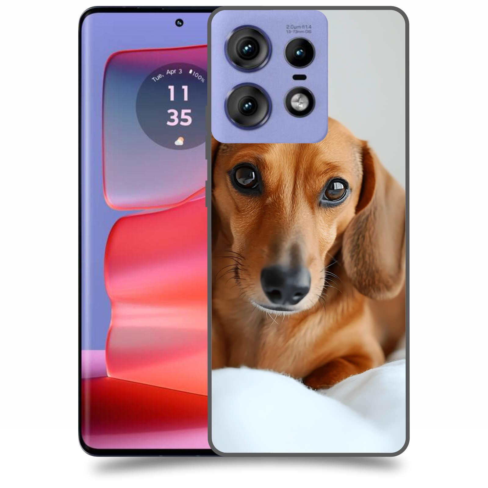 ACOVER Kryt na mobil Motorola Edge 50 Pro - Dachshund II