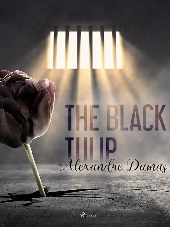 The Black Tulip