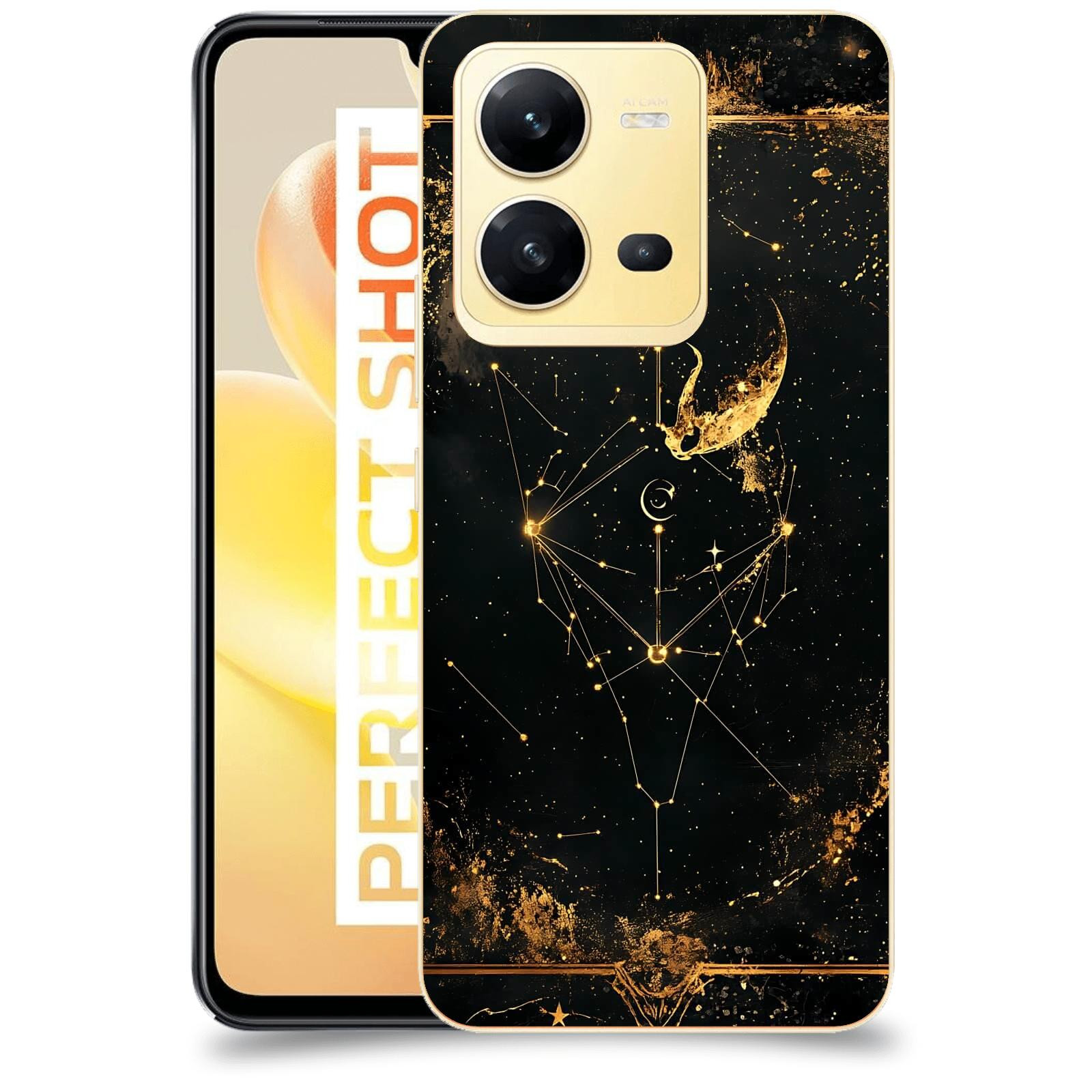 ACOVER Kryt na mobil Vivo X80 Lite - Blíženci