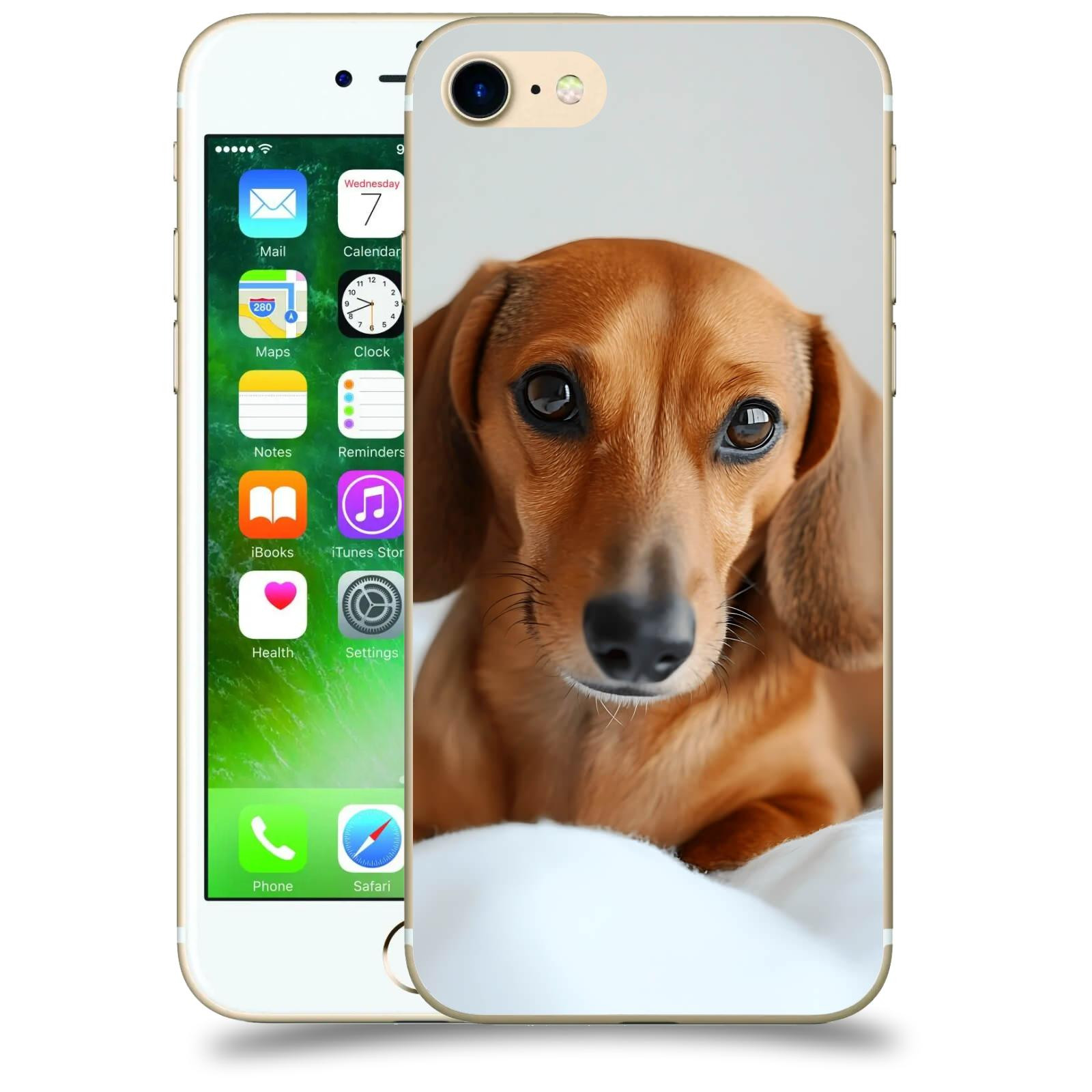 ACOVER Kryt na mobil Apple iPhone 7 - Dachshund II