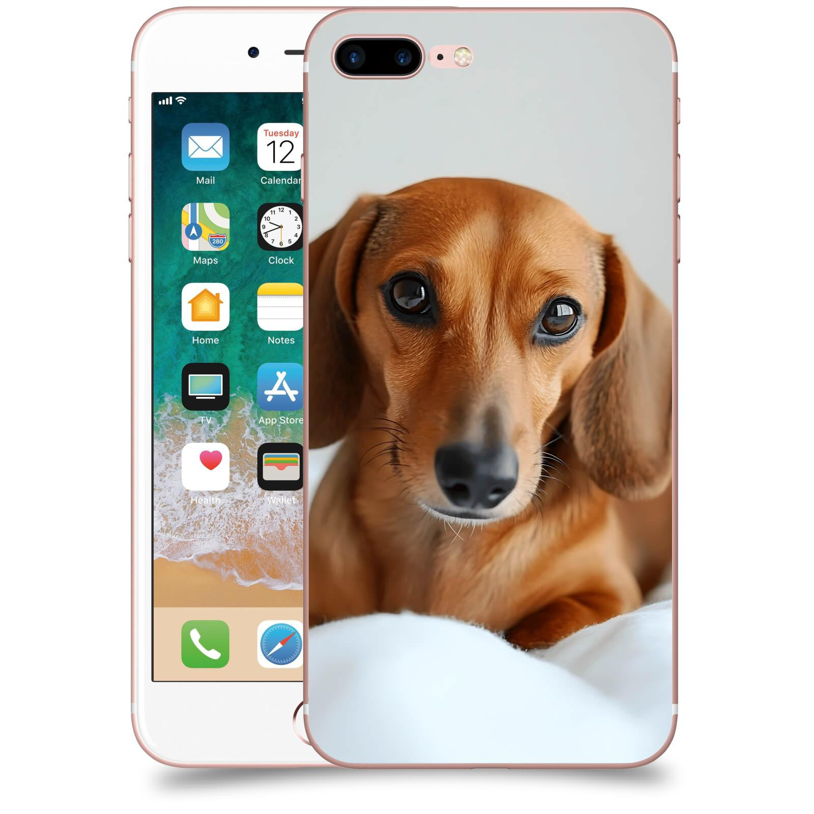 ACOVER Kryt na mobil Apple iPhone 7 Plus - Dachshund II