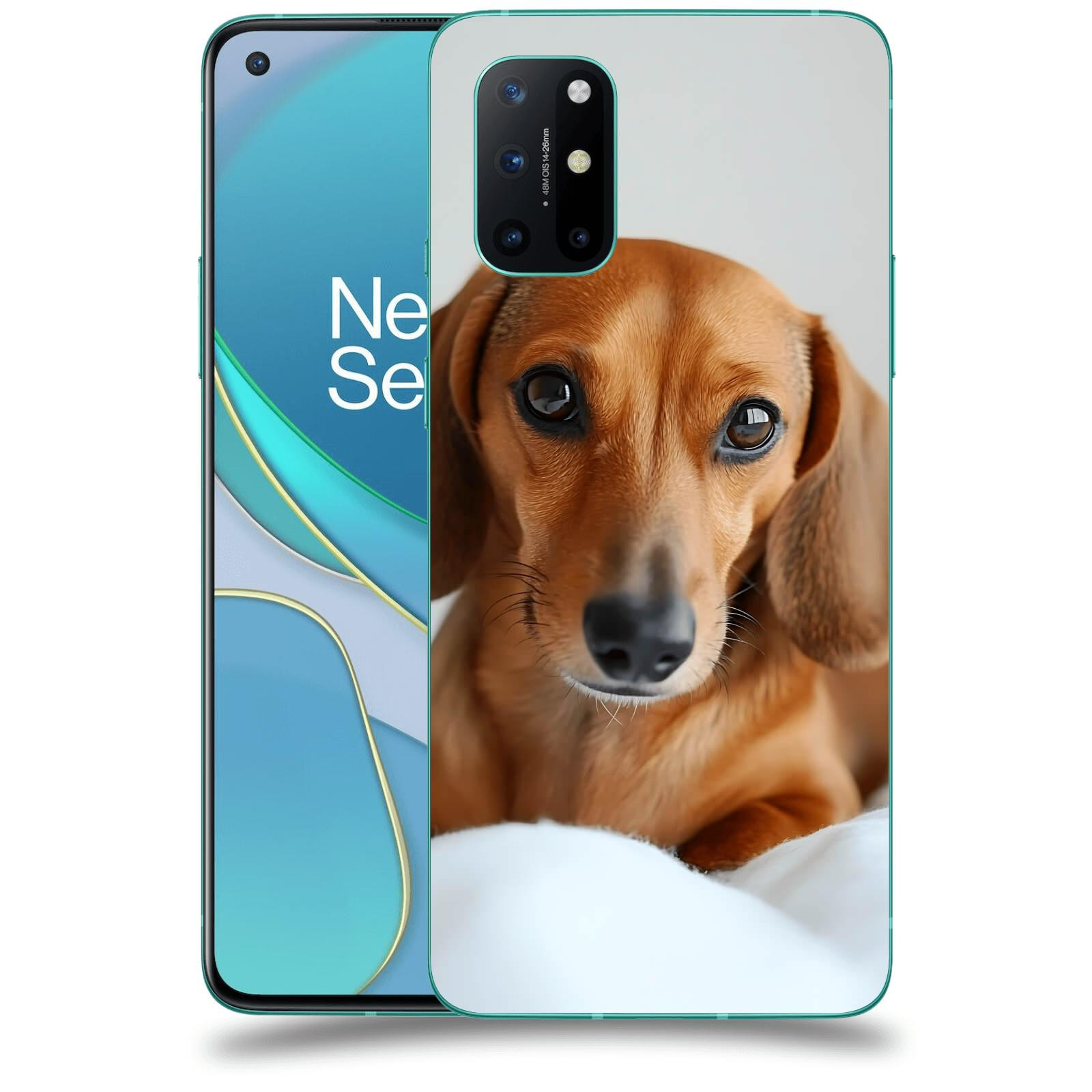 ACOVER Kryt na mobil OnePlus 8T - Dachshund II