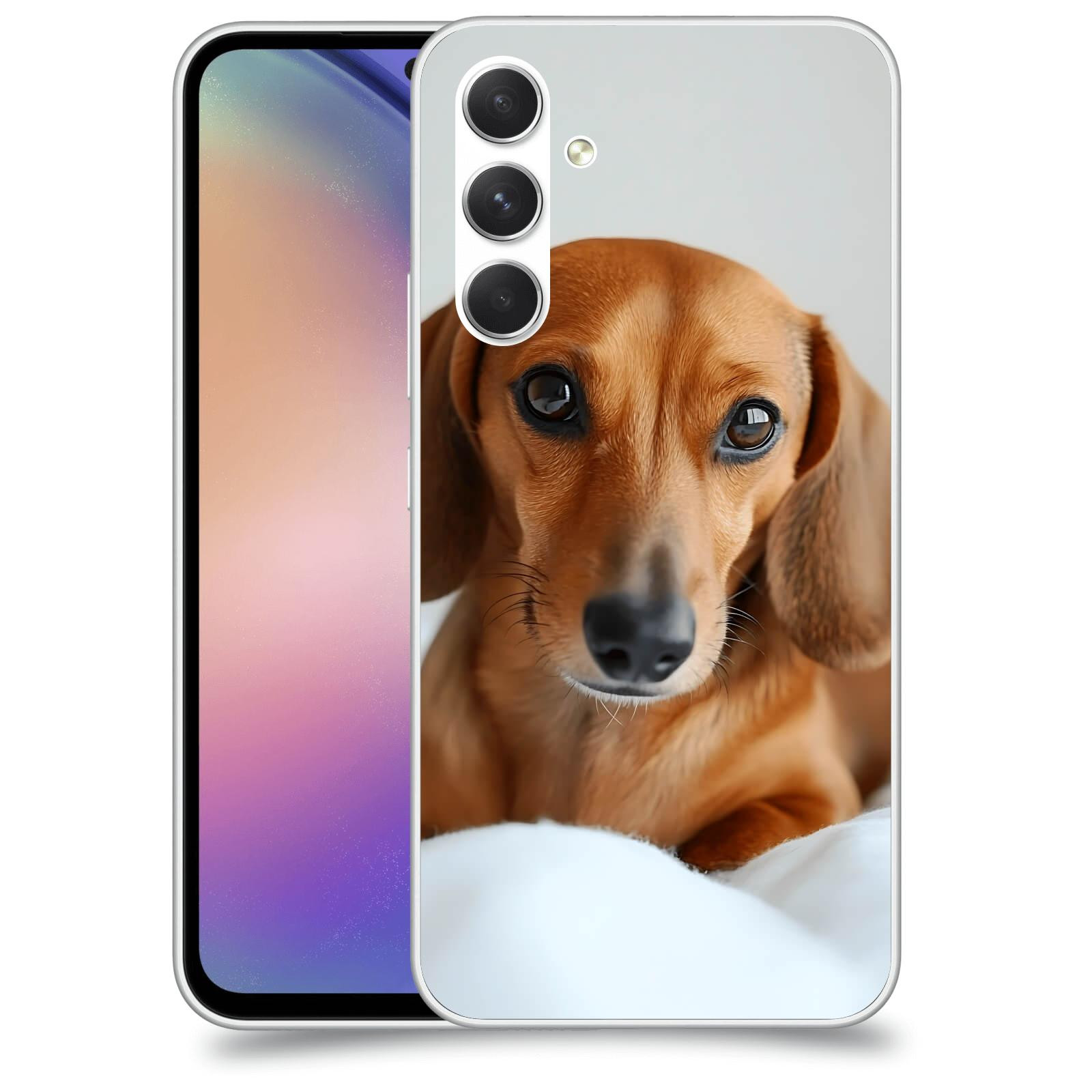 ACOVER Kryt na mobil Samsung Galaxy M54 5G - Dachshund II
