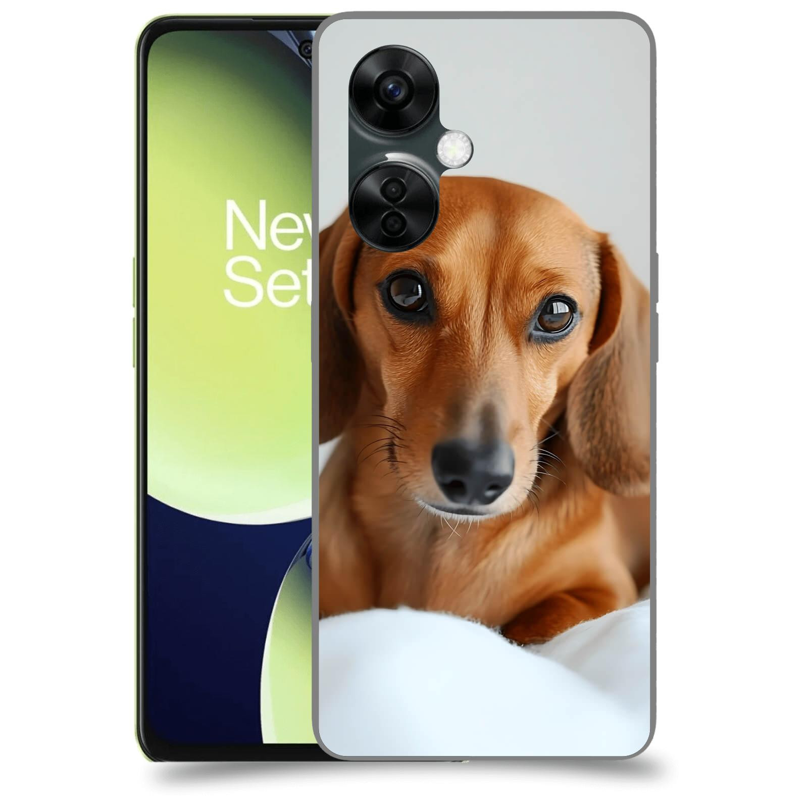 ACOVER Kryt na mobil OnePlus Nord CE 3 Lite 5G - Dachshund II