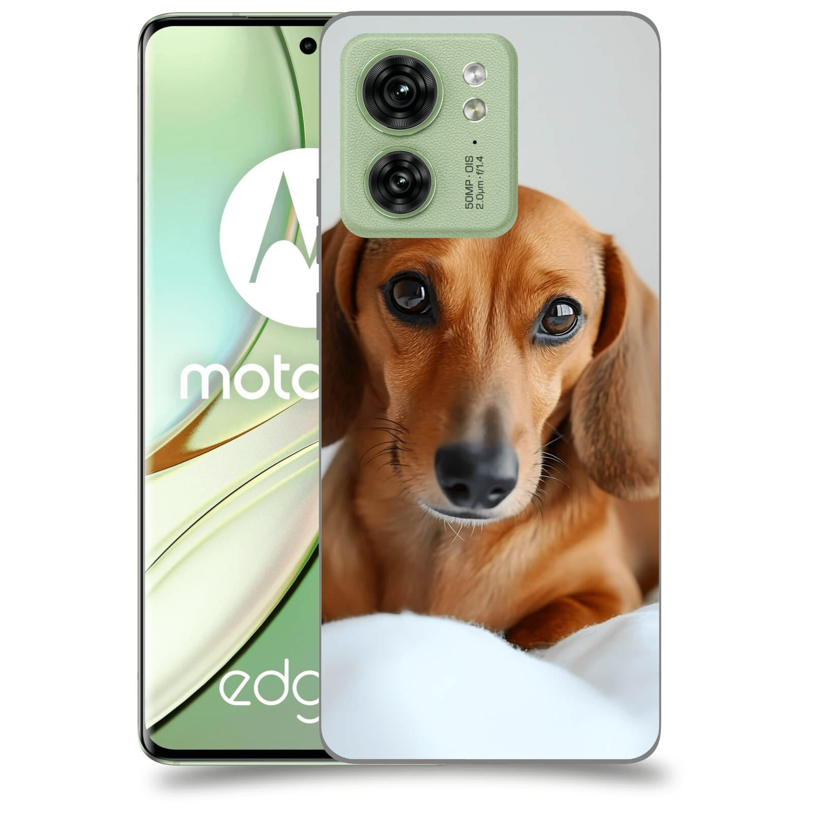 ACOVER Kryt na mobil Motorola EDGE 40 5G - Dachshund II