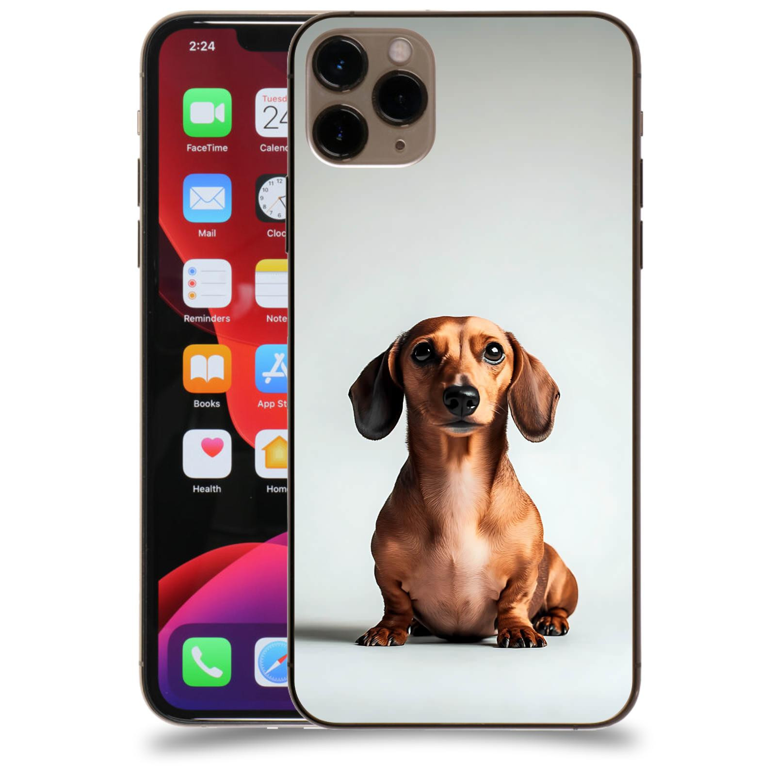ACOVER Kryt na mobil Apple iPhone 11 Pro Max - Dachshund III