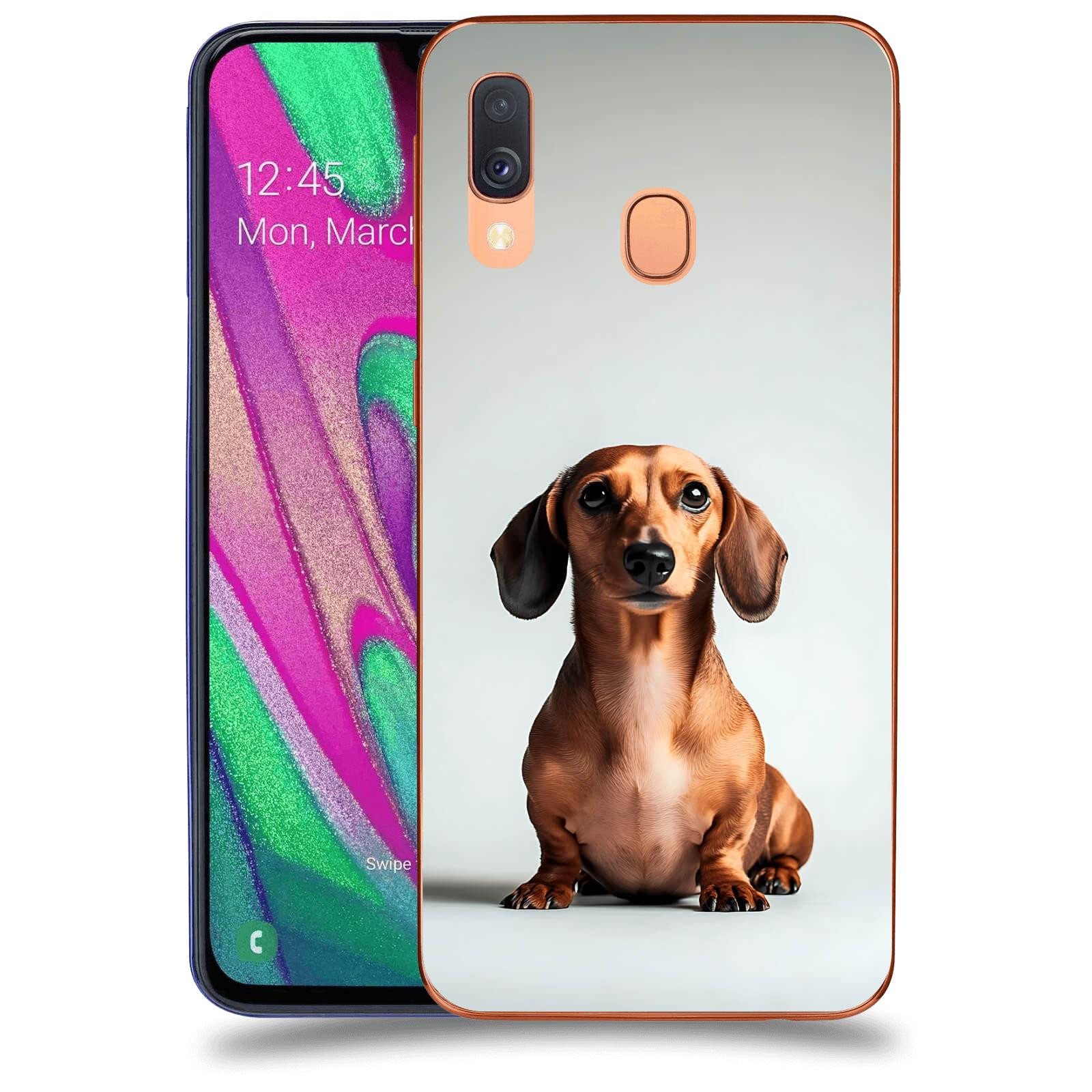 ACOVER Kryt na mobil Samsung Galaxy A40 A405F - Dachshund III