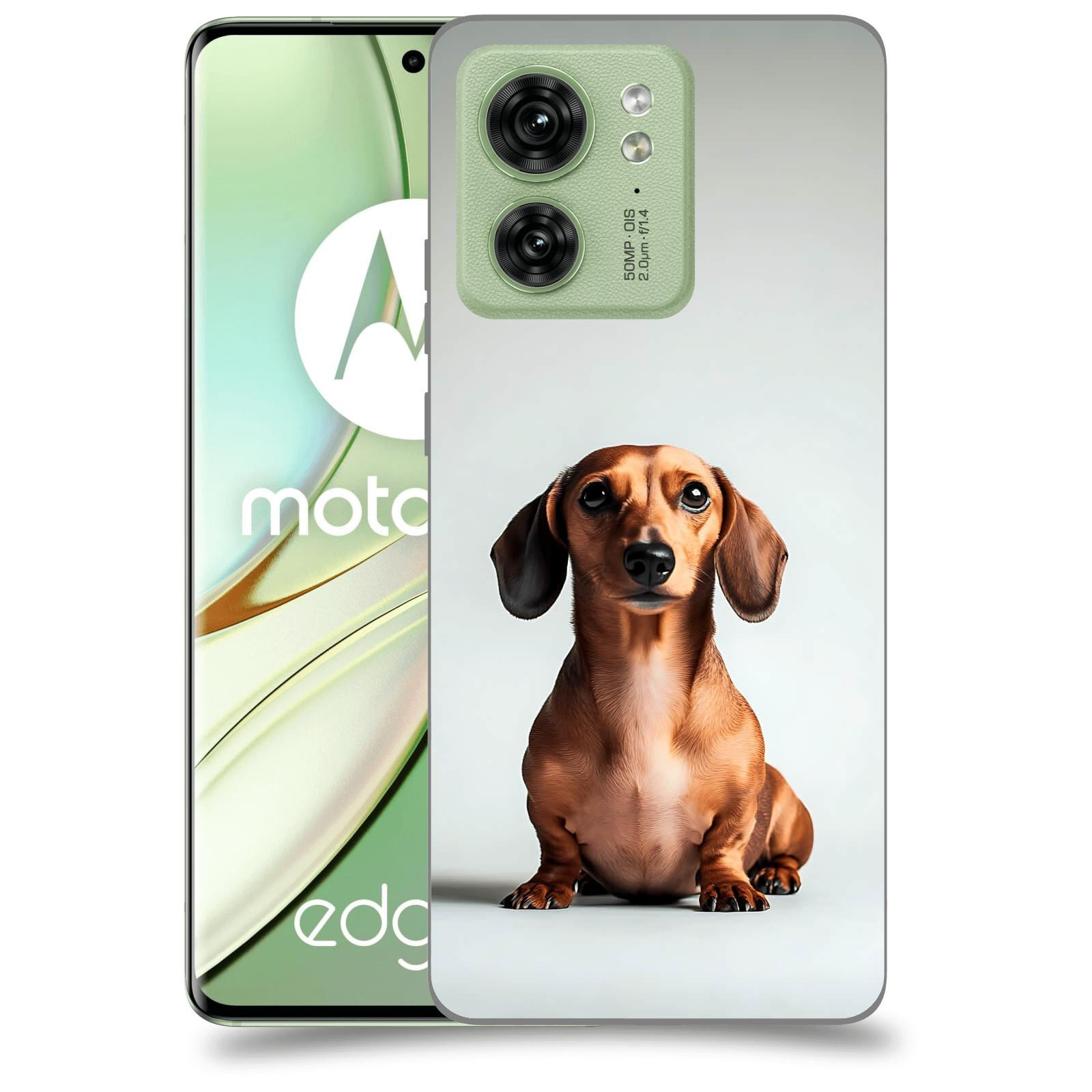 ACOVER Kryt na mobil Motorola EDGE 40 5G - Dachshund III