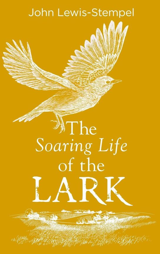 The Secret Life of the Lark