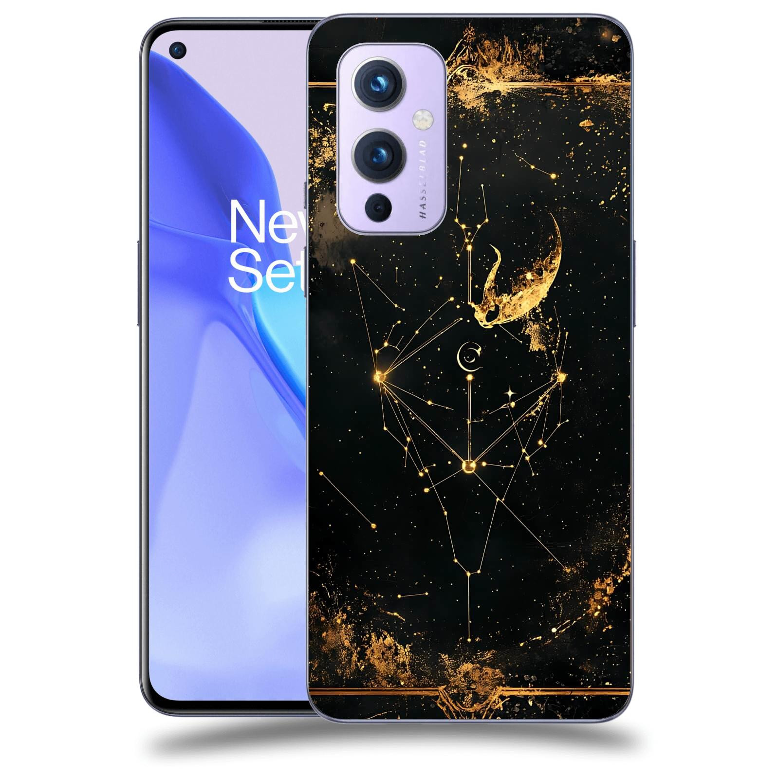 ACOVER Kryt na mobil OnePlus 9 - Blíženci