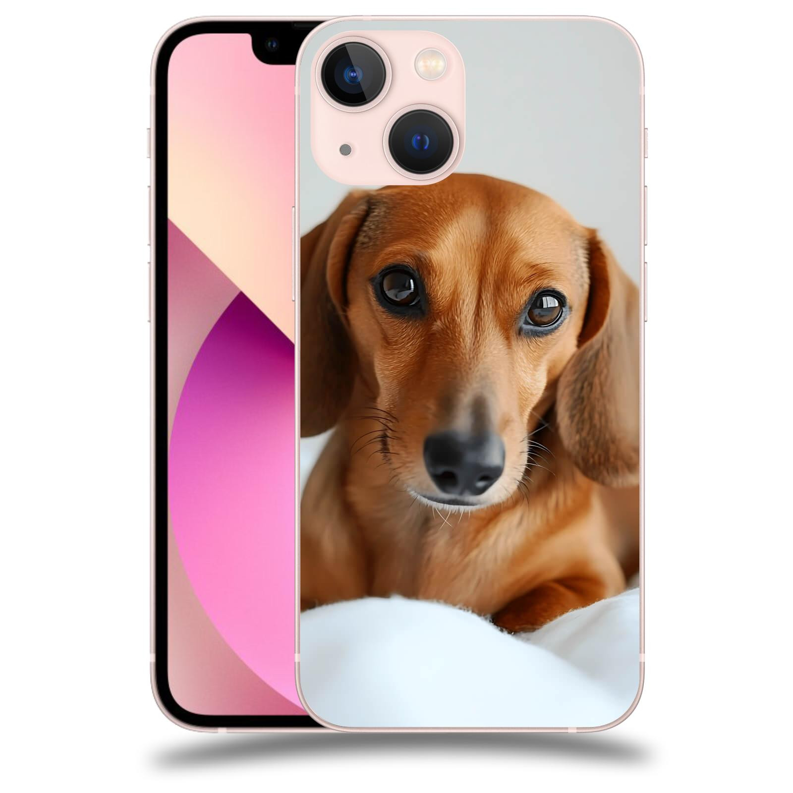 ACOVER Kryt na mobil Apple iPhone 13 mini - Dachshund II
