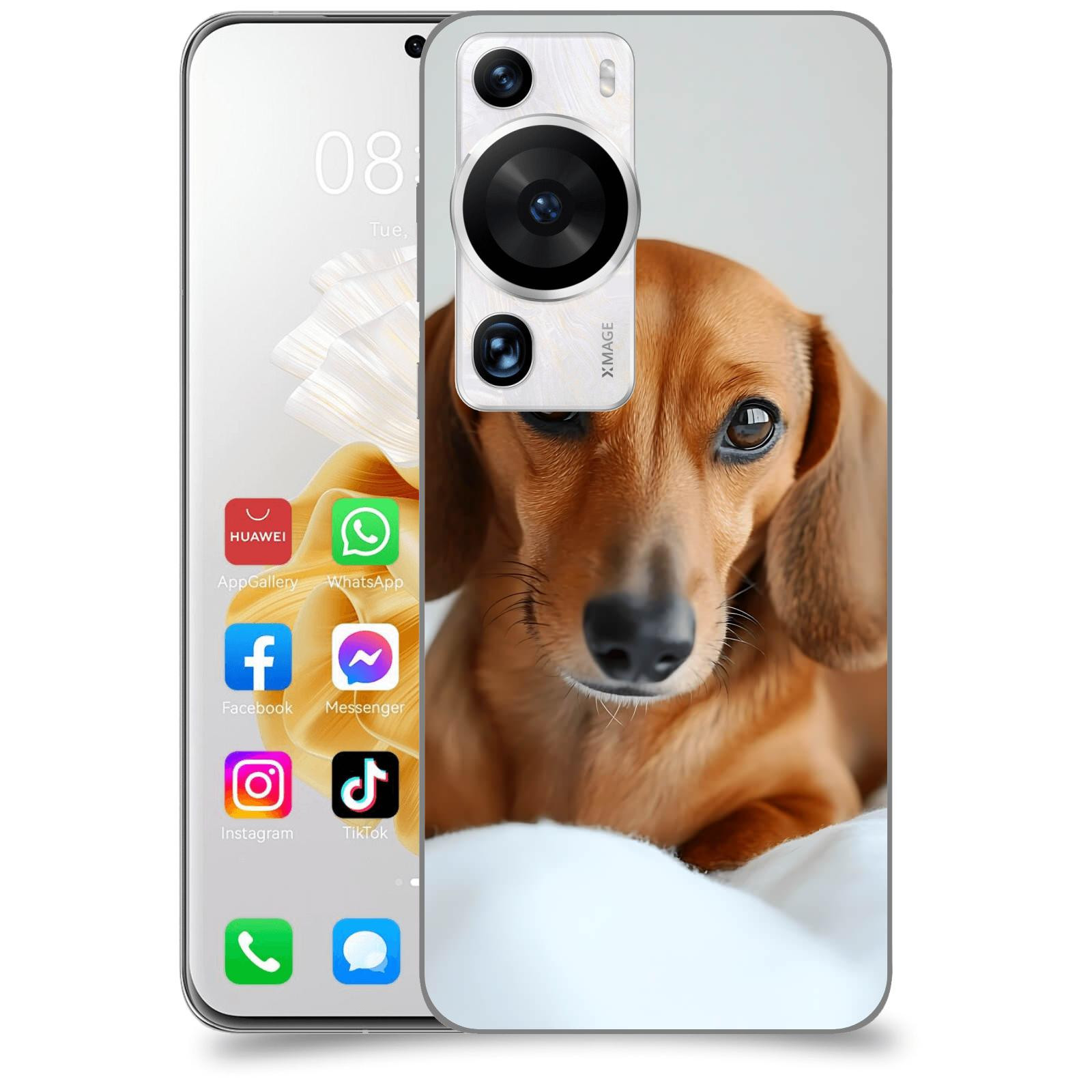 ACOVER Kryt na mobil Huawei P60 Pro - Dachshund II
