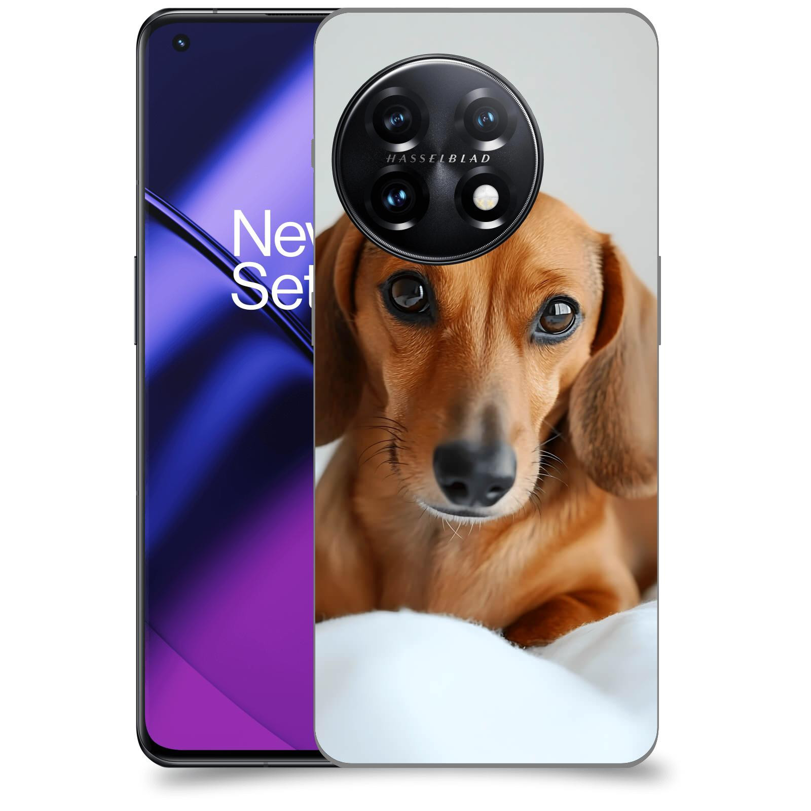 ACOVER Kryt na mobil OnePlus 11 5G - Dachshund II