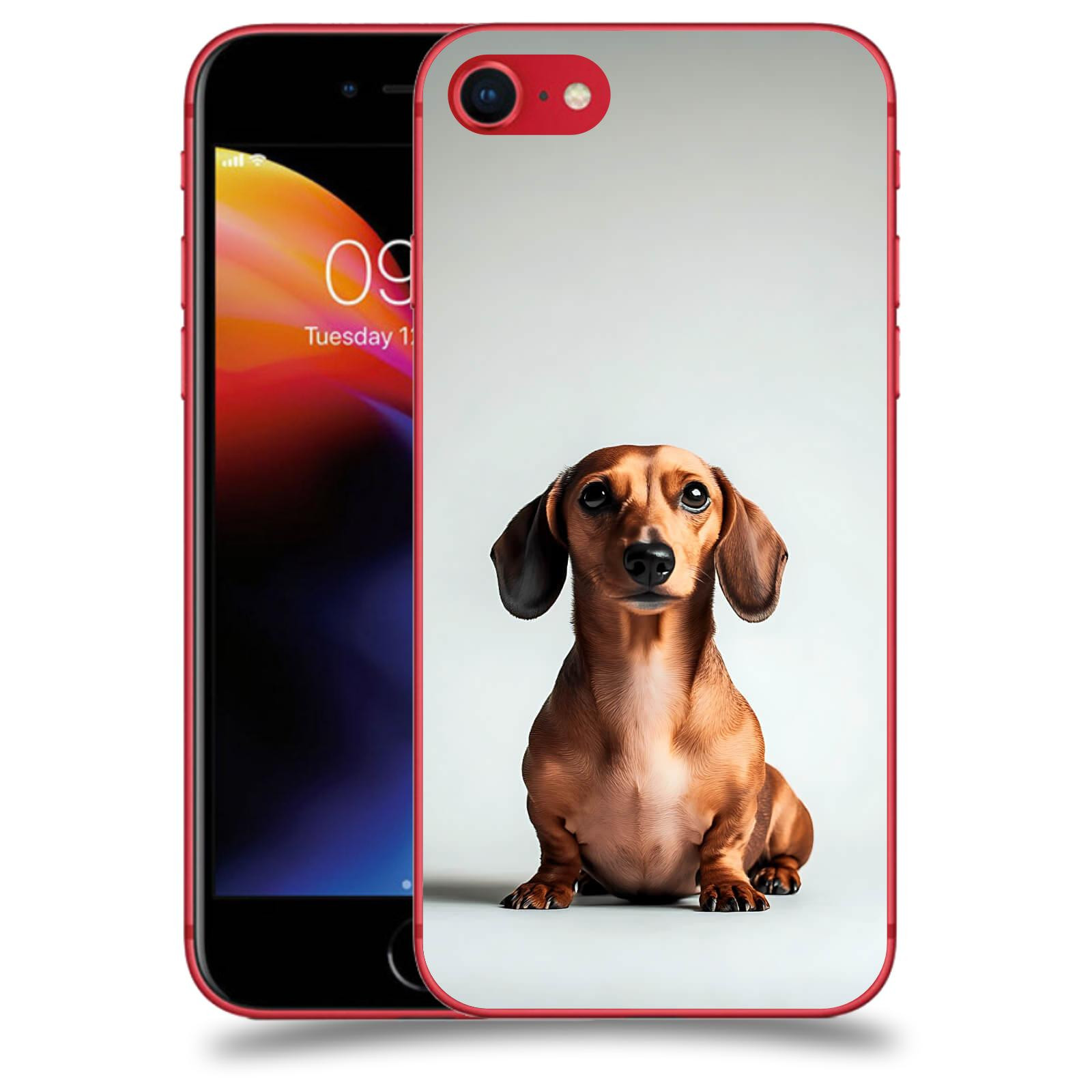 ACOVER Kryt na mobil Apple iPhone 8 - Dachshund III