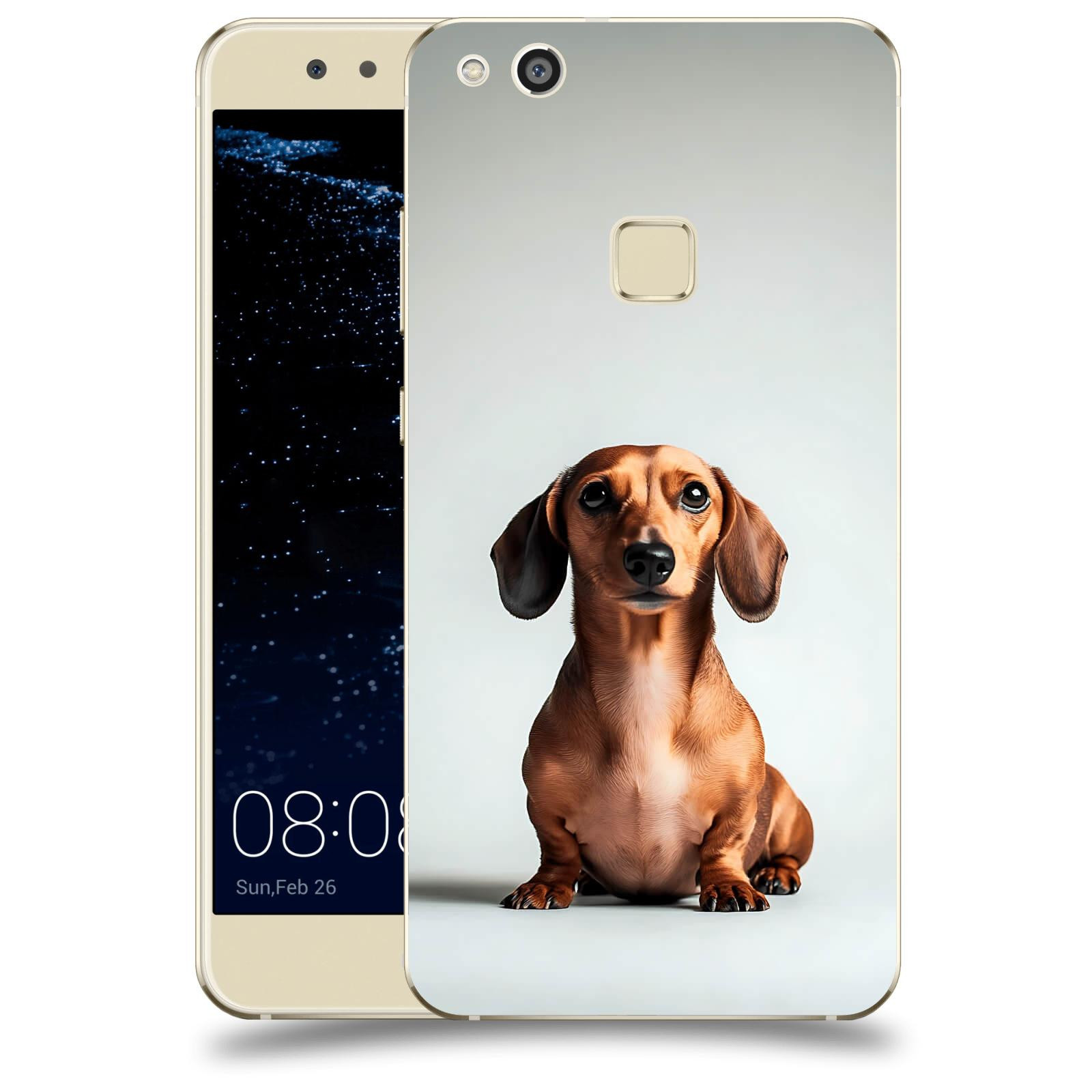 ACOVER Kryt na mobil Huawei P10 Lite - Dachshund III