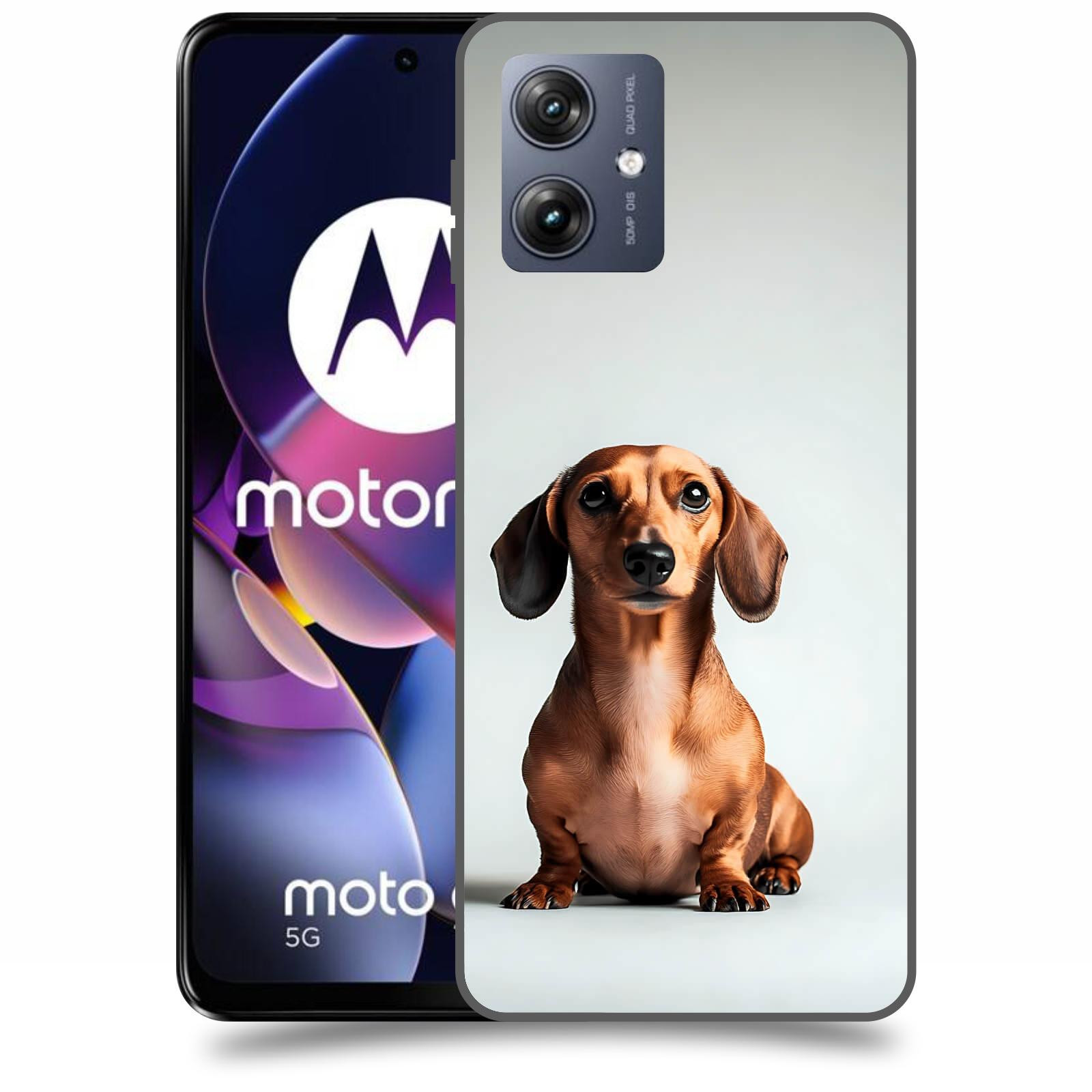 ACOVER Kryt na mobil Motorola Moto G54 5G - Dachshund III