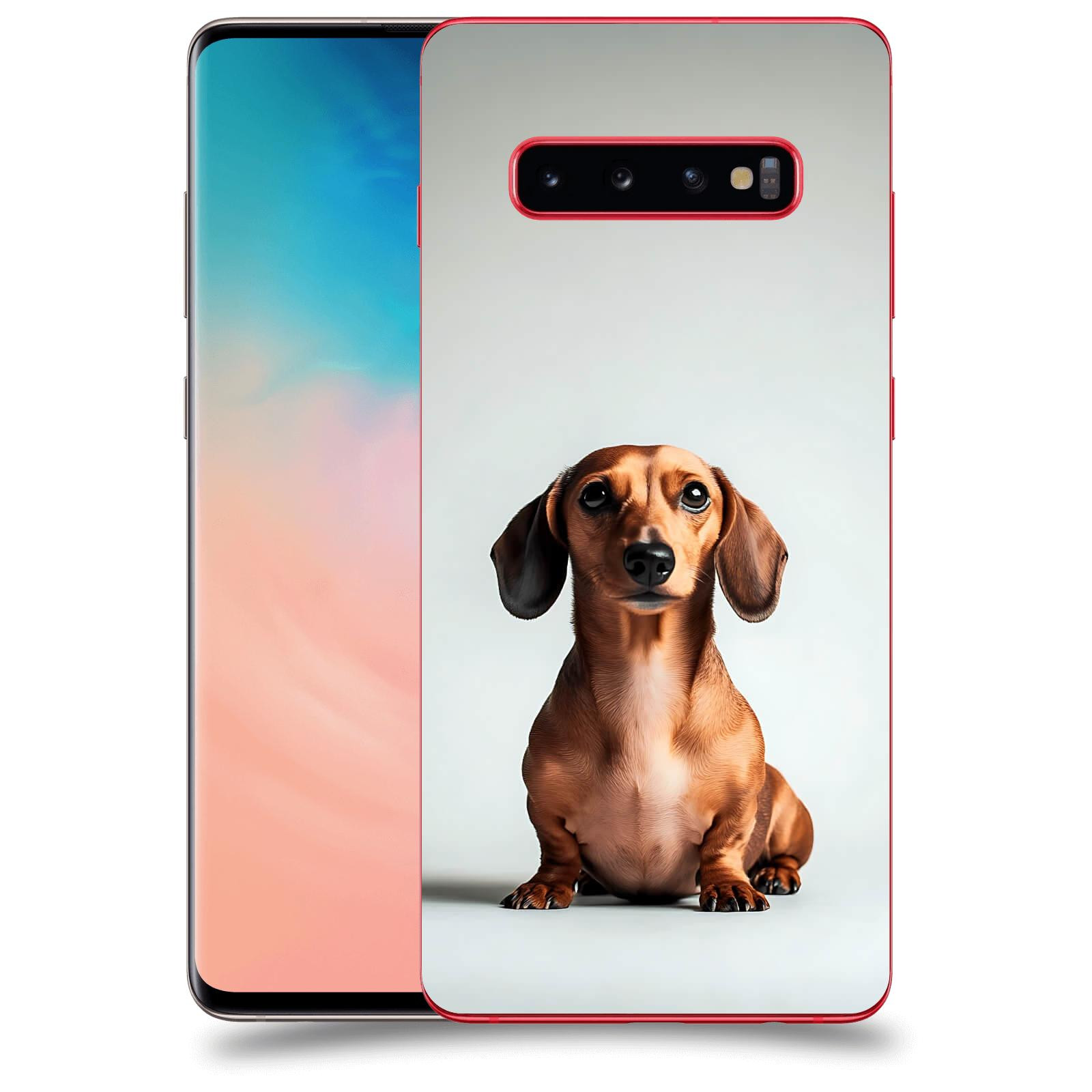 ACOVER Kryt na mobil Samsung Galaxy S10 Plus G975 - Dachshund III
