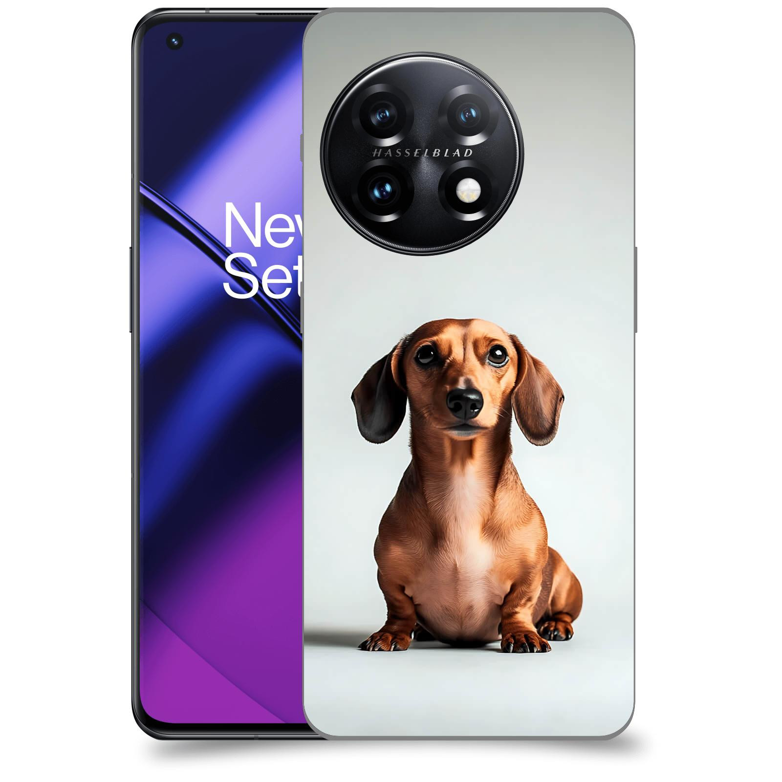 ACOVER Kryt na mobil OnePlus 11 5G - Dachshund III