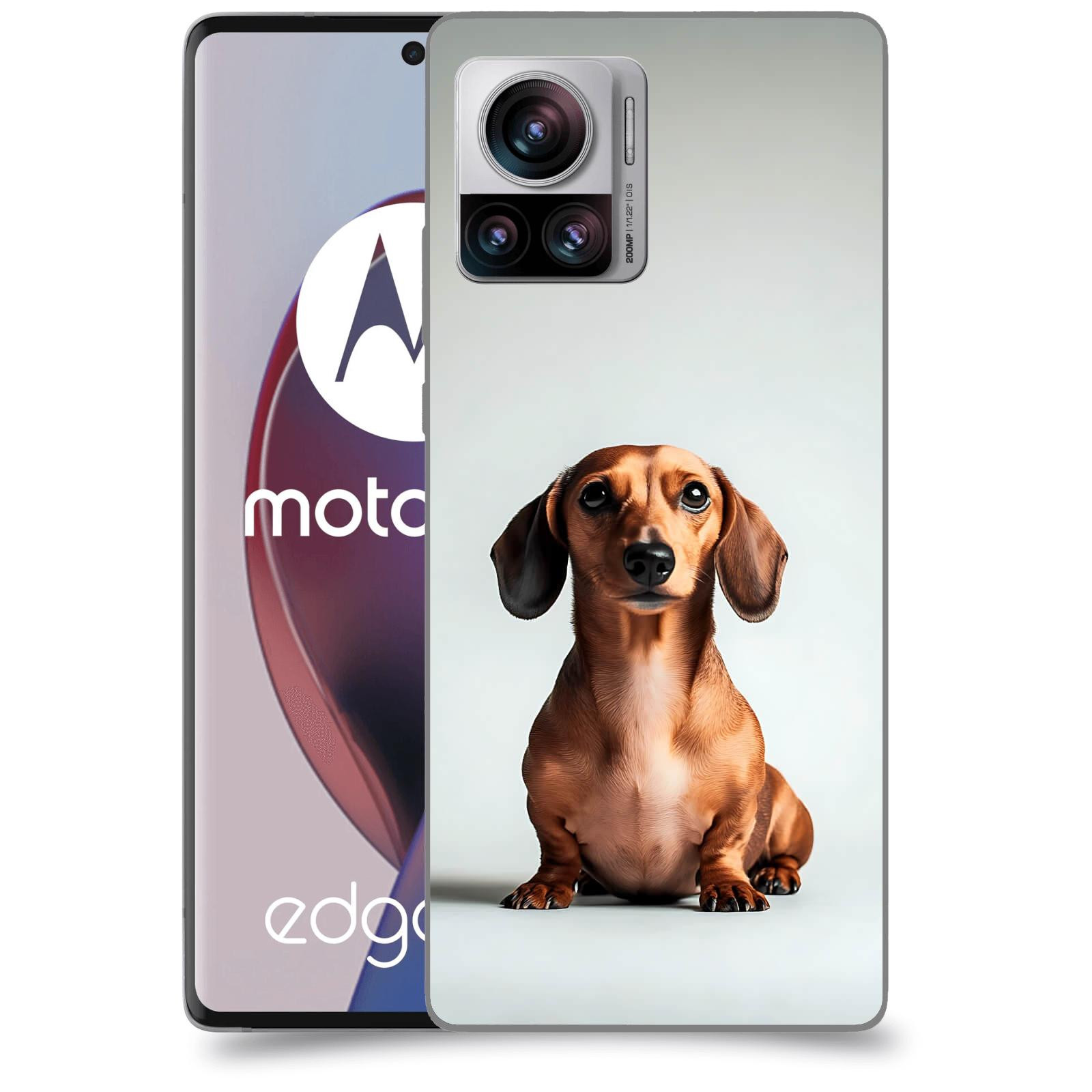 ACOVER Kryt na mobil Motorola Edge 30 Ultra - Dachshund III