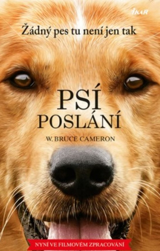 Psí poslání Žádný pes tu není jen tak