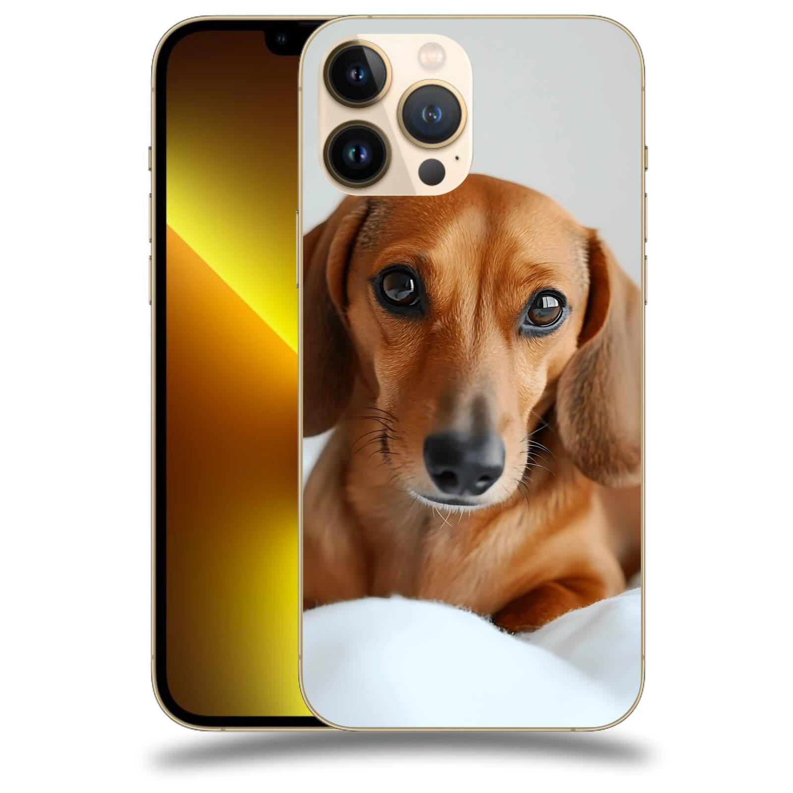 ACOVER Kryt na mobil Apple iPhone 13 Pro - Dachshund II