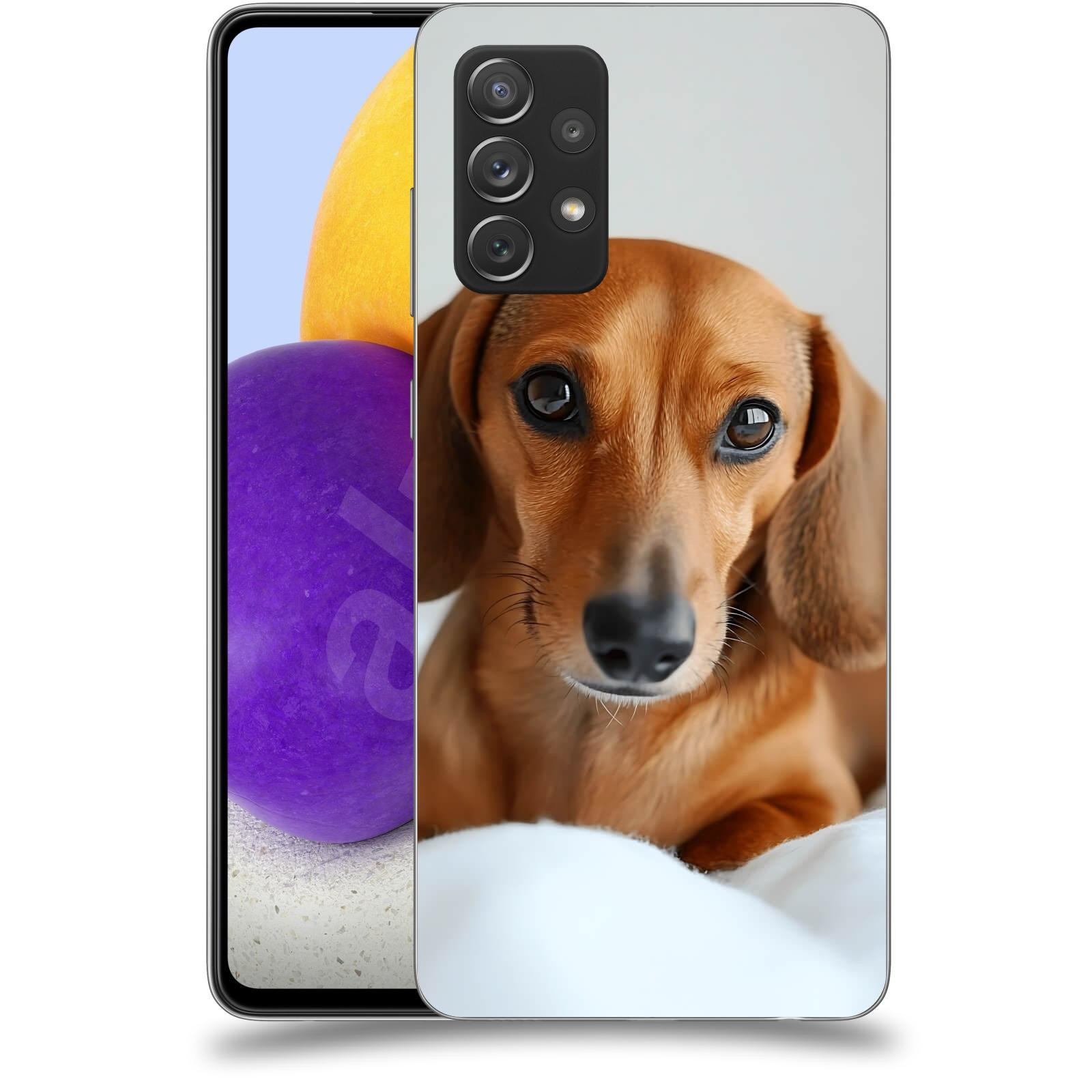 ACOVER Kryt na mobil Samsung Galaxy A72 A725F - Dachshund II