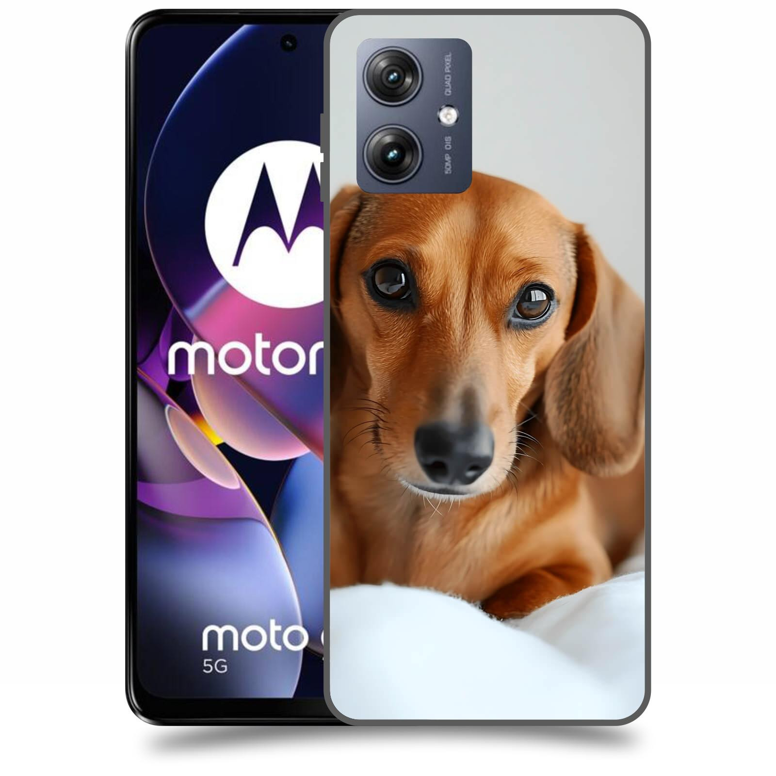 ACOVER Kryt na mobil Motorola Moto G54 5G - Dachshund II