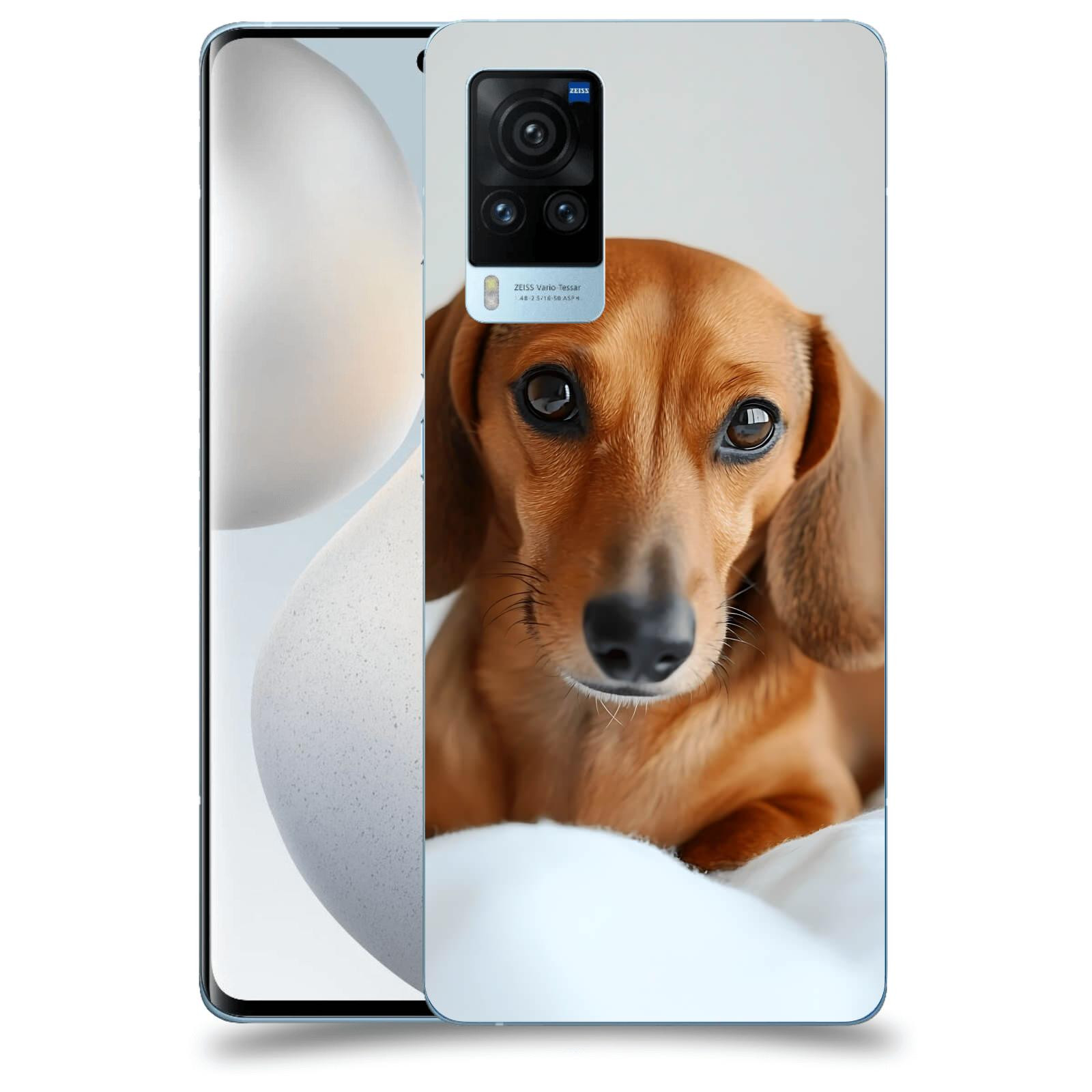 ACOVER Kryt na mobil Vivo X60 Pro 5G - Dachshund II