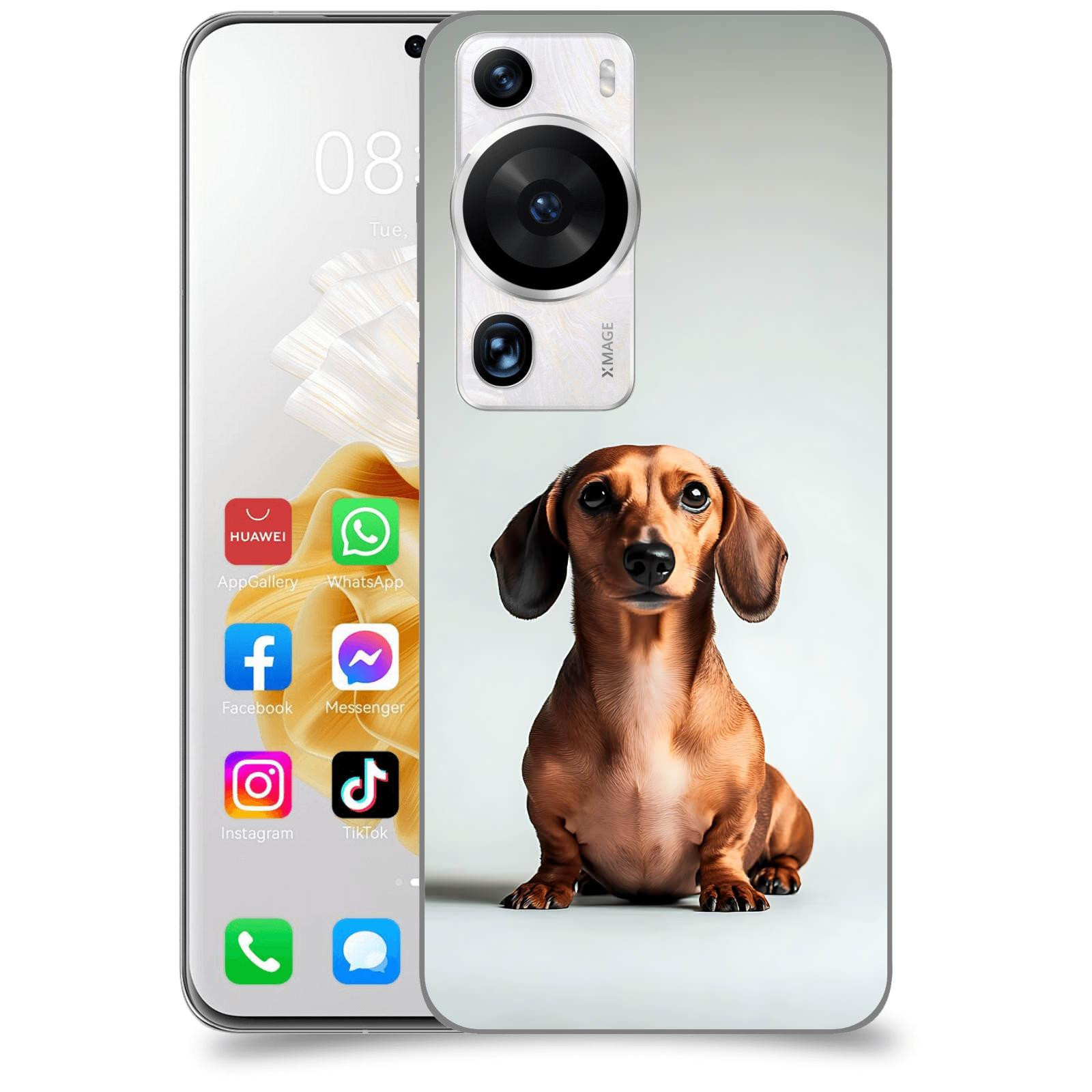 ACOVER Kryt na mobil Huawei P60 Pro - Dachshund III