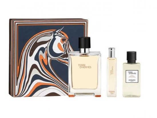 Hermes Terre D' Hermes - EDT 100 ml + voda po holení 40 ml + EDT 15 ml