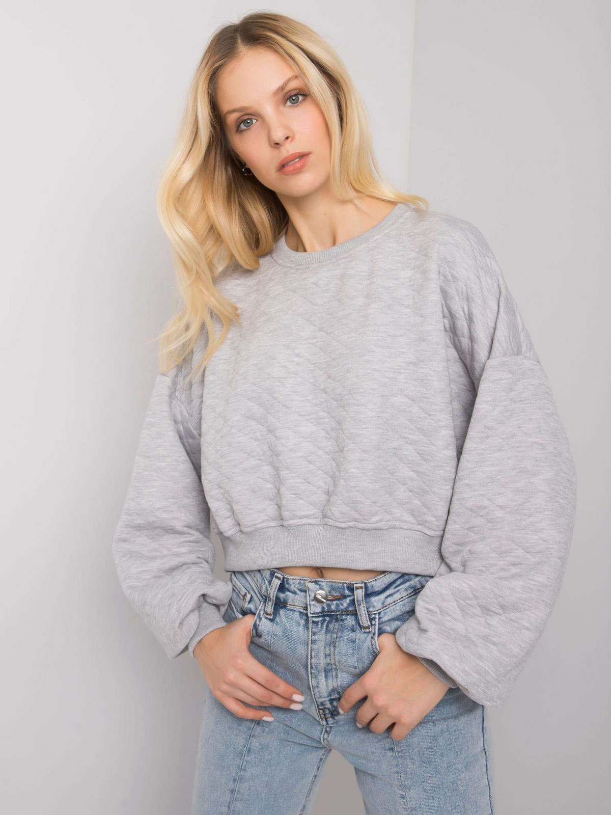 Sweatshirt-RV-BL-7450.64-gray