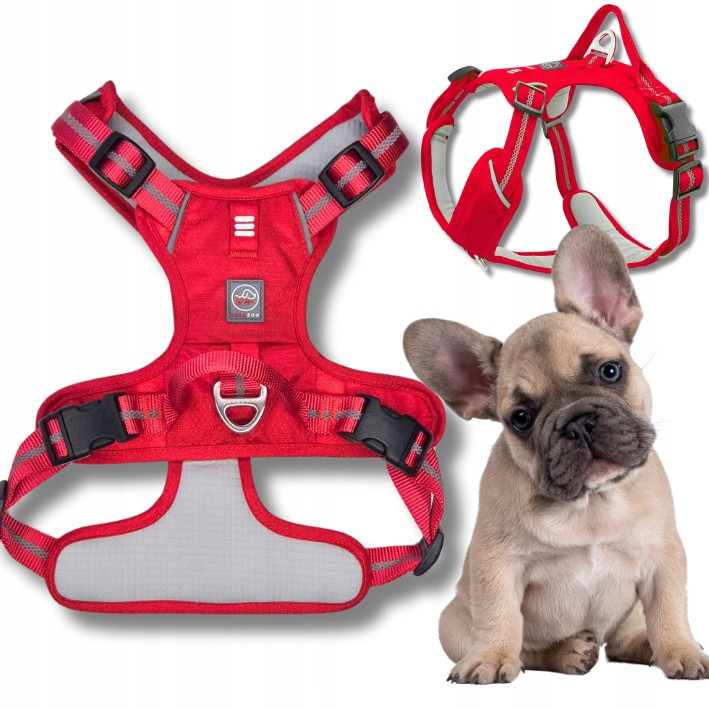 Šle Guard pro psa Adventure silné nastavitelné pohodlné Premium červené M