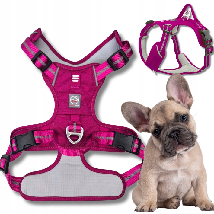 Postroj Guard pro psa Adventure silný nastavitelný pohodlný Premium purple S