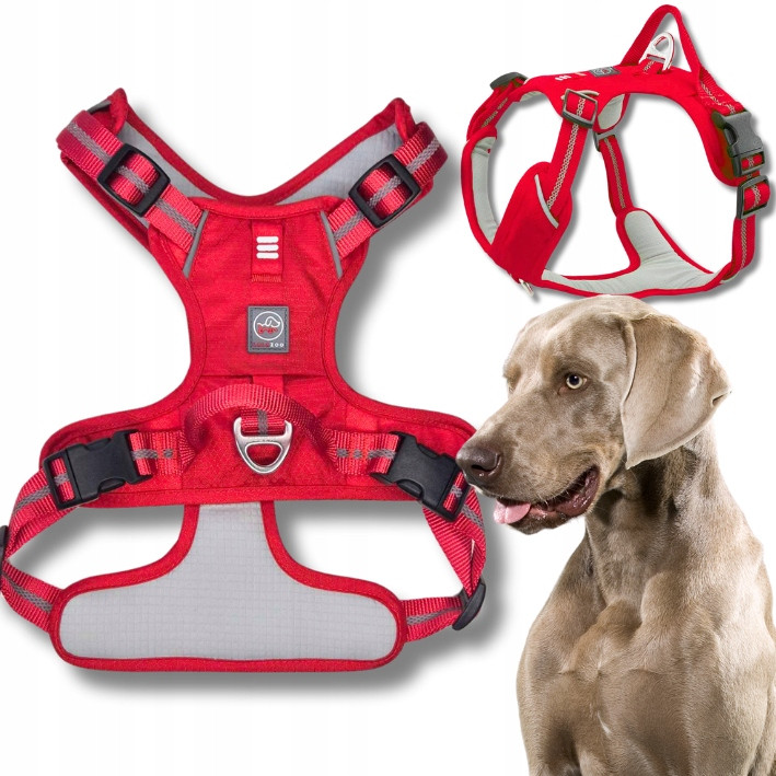 Pevné Postroje Guard pro psa Adventure silné pohodlné Premium červené L