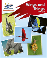 Reading Planet: Rocket Phonics - Target Practice - Wings and Things - Red B -  (Steel Abigail)(Paperback / softback)