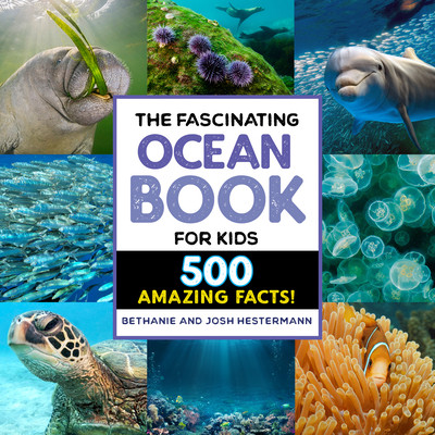The Fascinating Ocean Book for Kids: 500 Incredible Facts! -  (Hestermann Bethanie)(Paperback)