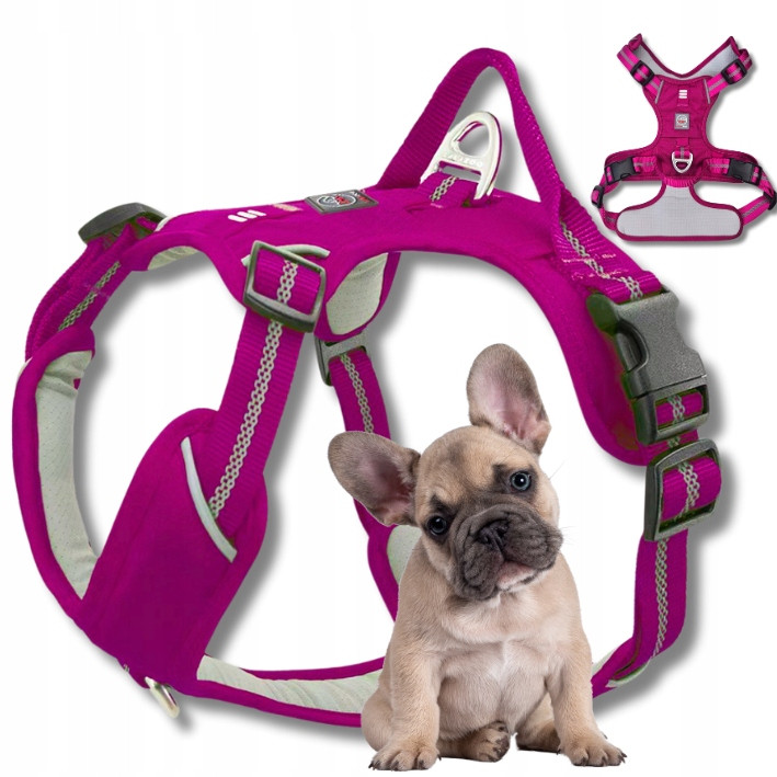 Šle Guard pro psa Adventure silné nastavitelné pohodlné Premium purple M