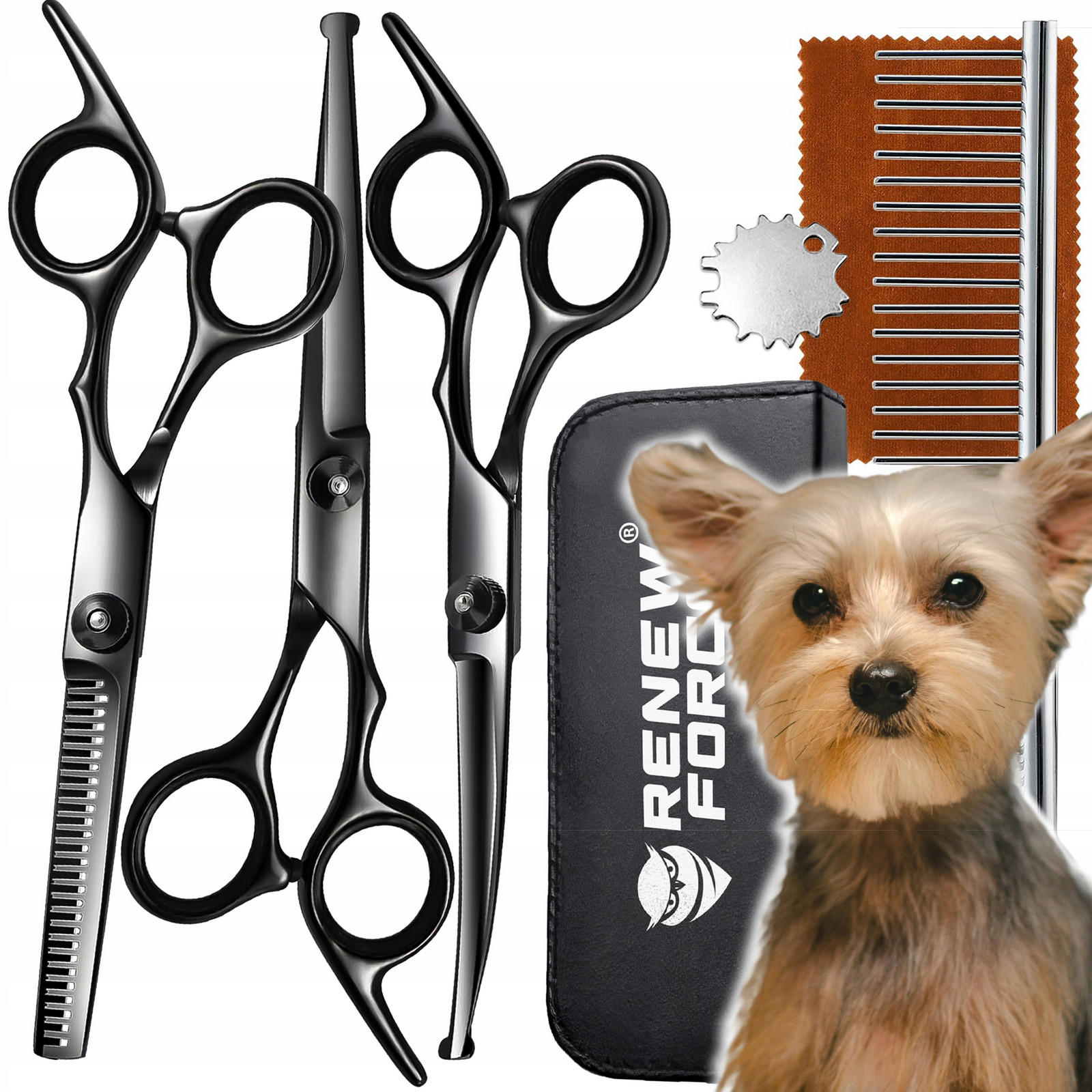 Profesionální nůžky na stříhání psů pro kočky Černé Sada Pouzdro Hřeben