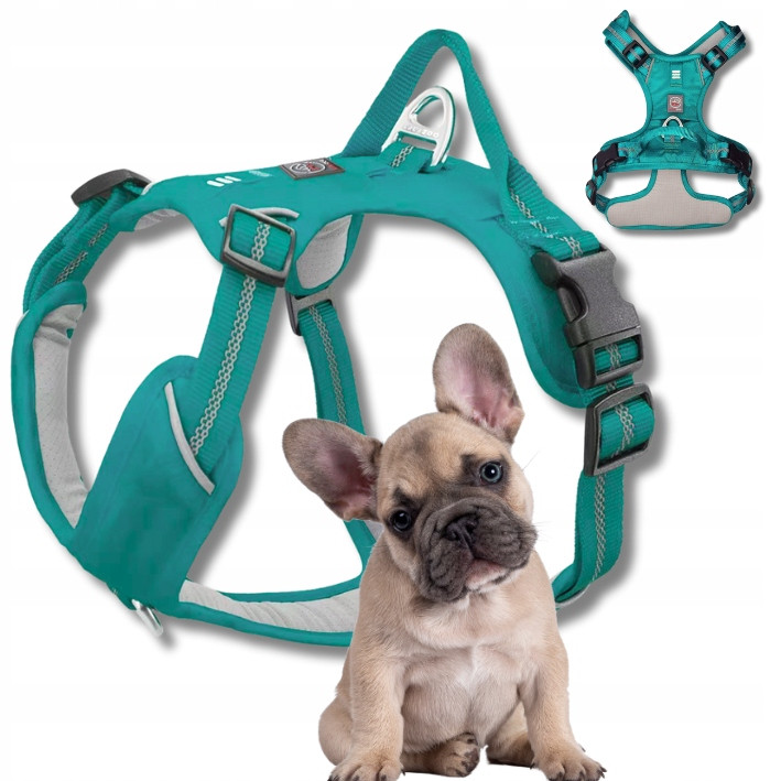 Šle Guard pro psa Adventure silné nastavitelné pohodlné Premium tyrkysové S