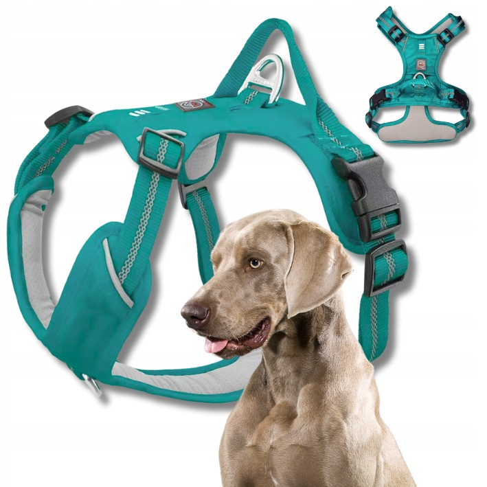 Šle Guard pro psa Adventure silné nastavitelné pohodlné Premium tyrkysové XL