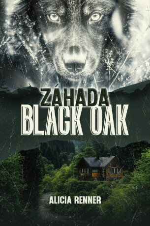 Záhada Black Oak - Alicia Renner - e-kniha