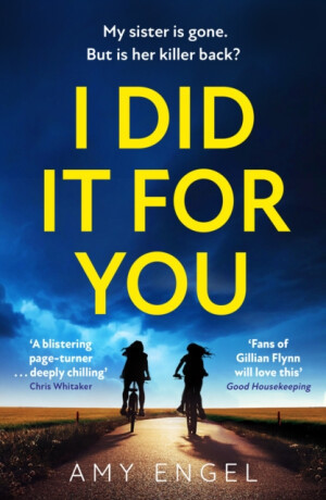 I Did It For You - Amy Engel